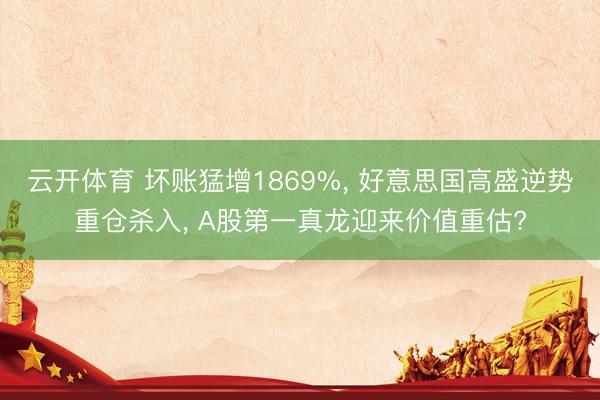 云开体育 坏账猛增1869%, 好意思国高盛逆势重仓杀入, A股第一真龙迎来价值重估?