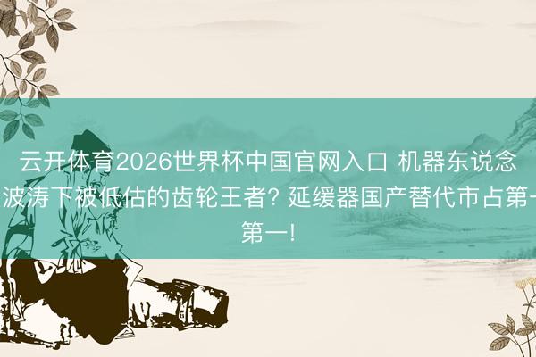 云开体育2026世界杯中国官网入口 机器东说念主波涛下被低估的齿轮王者? 延缓器国产替代市占第一!