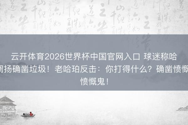 云开体育2026世界杯中国官网入口 球迷称哈珀阐扬确凿垃圾！老哈珀反击：你打得什么？确凿愤慨鬼！
