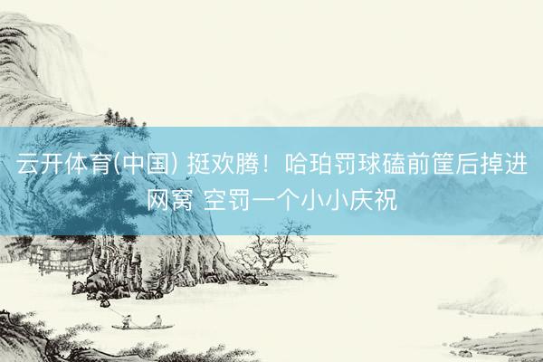 云开体育(中国) 挺欢腾！哈珀罚球磕前筐后掉进网窝 空罚一个