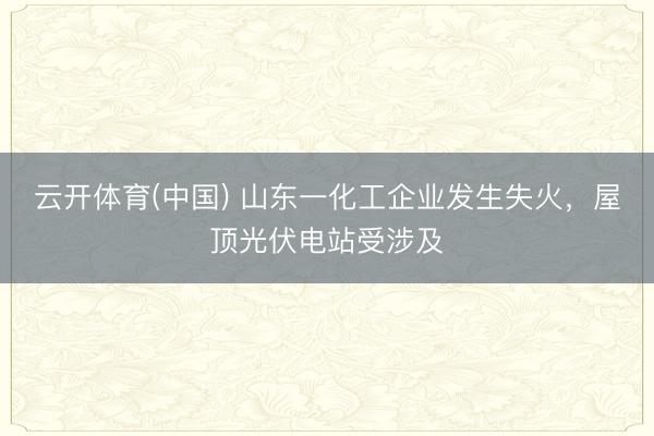 云开体育(中国) 山东一化工企业发生失火，屋顶光伏电站受涉及